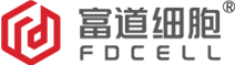 機(jī)械密封